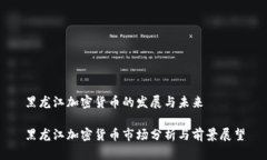黑龙江加密货币的发展与未来黑龙江加密货币市