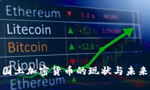 : 中国土加密货币的现状与未来趋势