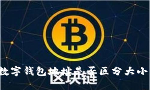 TP数字钱包地址是否区分大小写？