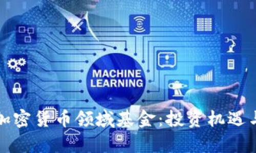 最赚钱的加密货币领域基金：投资机遇与风险解析