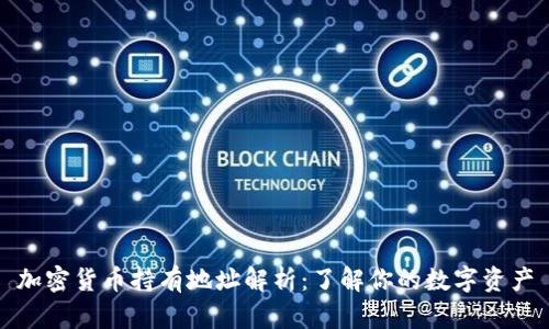 加密货币持有地址解析：了解你的数字资产