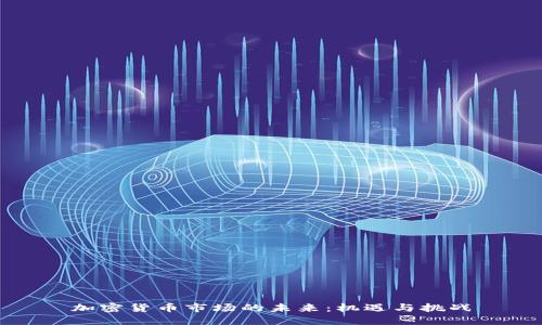 加密货币市场的未来：机遇与挑战