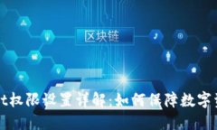 TPWallet权限设置详解：如何保障数字资产安全