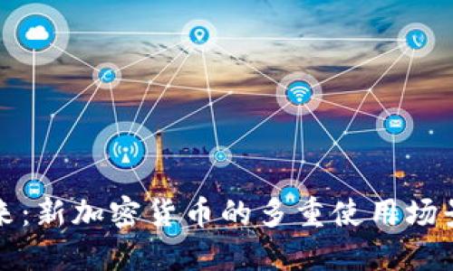 未来已来：新加密货币的多重使用场景大揭秘