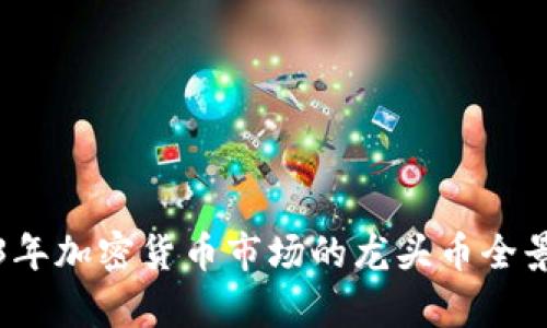 2023年加密货币市场的龙头币全景解析