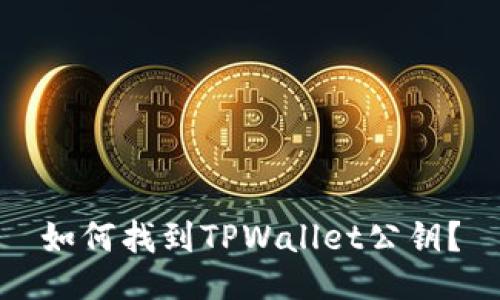 如何找到TPWallet公钥？