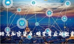 卡戴珊与加密货币：明星背后的投资热潮