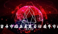 加密货币市场未来是否还有牛市机会？
