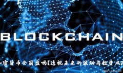 加密货币会崩盘吗？透视未来的波动与投资风险