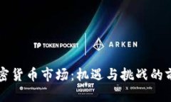 文莱加密货币市场：机遇与挑战的前沿探索