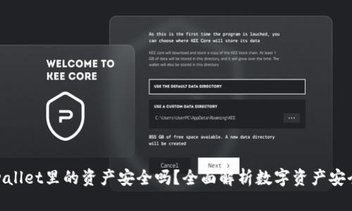 tpwallet里的资产安全吗？全面解析数字资产安全性