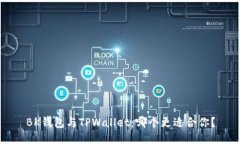 BK钱包与TPWallet：哪个更适合你？