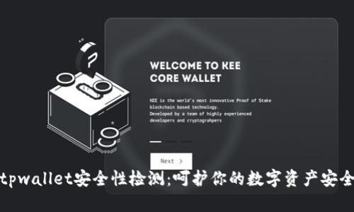 tpwallet安全性检测：呵护你的数字资产安全