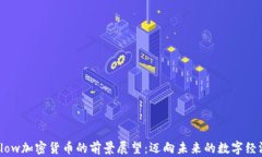 Flow加密货币的前景展望：迈向未来的数字经济