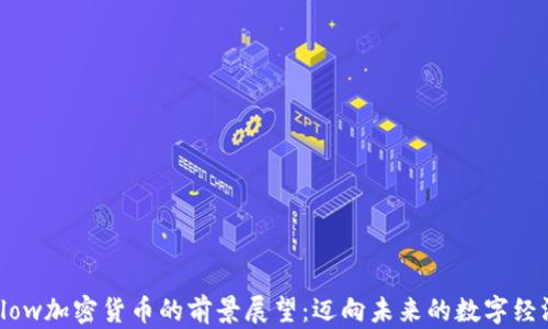 
Flow加密货币的前景展望：迈向未来的数字经济
