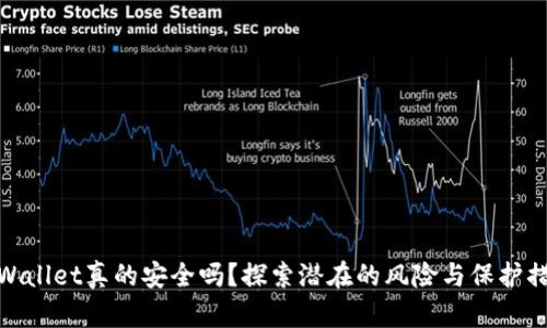 TPWallet真的安全吗？探索潜在的风险与保护措施
