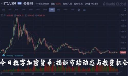 今日数字加密货币：揭秘市场动态与投资机会