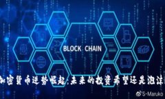 加密货币逆势崛起：未来的投资希望还是泡沫？