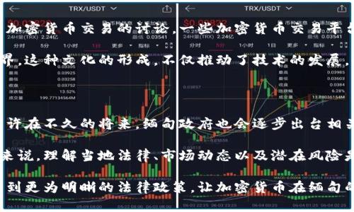 缅甸购买加密货币合法吗

缅甸,加密货币,法律/guanjianci

在世界各国，关于加密货币的法律和监管框架千差万别，缅甸也不例外。近年来，加密货币在全球范围内的流行让更多的人开始关注这一投资领域，那么缅甸的情况又如何呢？在这篇文章中，我们将深入探讨缅甸购买加密货币的合法性，包括法律框架、市场环境以及相关风险等问题。

一、缅甸的加密货币市场概况

缅甸，一个充满历史和文化色彩的国家，在过去几年中也逐渐迎来了数字化的浪潮。随着互联网的普及，越来越多的缅甸人开始接触加密货币，这种新兴的投资方式不仅吸引了年轻人的目光，还引起了很多传统投资者的关注。虽然缅甸的加密货币市场尚处于起步阶段，但它的潜力不可小觑！

然而，在具体操作中，缅甸的加密货币市场依然面临着许多挑战。首先，由于缺乏明确的法律框架，很多投资者在进行交易时感到不安。正因为如此，针对加密货币的监管政策便成了许多人讨论的焦点。

二、缅甸的法律框架

在理解缅甸购买加密货币的合法性之前，我们需要首先了解缅甸的法律体系。缅甸的法律体系相对复杂，既有传统的法律条款，也受到现代法律体系的影响。至于加密货币，缅甸政府尚未给予明确的法律地位。

事实上，缅甸的中央银行曾在2019年发布声明，表示不承认任何形式的数字货币，并提醒公众注意使用加密货币的风险。这意味着在法律层面上，加密货币在缅甸并没有获得合法化的认可！不过，由于市场需求的增长，虽然法律尚未明确，但实际上的交易和购买却在悄然进行。

三、加密货币的投资机会与风险

在了解了缅甸法律对加密货币的态度后，投资者亟需考虑的是，在这个市场中是否存在投资机会。尽管法规的不确定性让一些人感到畏惧，但这并未阻止那些寻求新兴市场机会的投资者。

缅甸的经济正在向更开放的方向发展，越来越多的年轻企业家和投资者开始探索加密货币的潜力。这让一些人看到了希望！例如，一些缅甸的创业公司正在积极利用区块链技术来创新其商业模式，这在国际上取得了一定的关注度。

然而，投资加密货币同样伴随着极高的风险。由于缺乏监管，市场波动性极大，投资者可能会面临巨额损失。此外，信息的不对称也使得很多人处于不利地位。因为市场上存在很多不法分子，利用投资者的盲目追求进行诈骗，警惕性不足将可能导致财产损失。

四、缅甸的加密货币社区与文化

虽然法律框架不够健全，但缅甸的加密货币社区越发壮大，年轻人的积极性和参与度令人为之振奋！在线论坛和社交媒体上，充满了关于加密货币交易的讨论，一些加密货币交易平台也悄然兴起，吸引着越来越多的用户。

在这个动态的社区中，知识的共享和相互支持成为了重要的纽带。许多人在这个群体中找到了志同道合的伙伴，一起探索加密货币的世界。这种文化的形成，不仅推动了技术的发展，也为缅甸的经济赋予了新的活力！

五、未来展望

展望未来，缅甸的加密货币市场仍有许多未知的变数，但值得注意的是，世界范围内对于加密货币的接受度和监管框架正在不断变化。或许在不久的将来，缅甸政府也会逐步出台相关的政策，为加密货币的合法化铺平道路，这是众多投资者所期盼的！

总的来说，尽管缅甸在法律上并未明确允许加密货币的交易和投资，但市场的实际情况却相对复杂。对于希望在缅甸投资加密货币的人来说，理解当地法律、市场动态以及潜在风险是至关重要的。不妨在投资前充分调研，保持谨慎与理智，选择适合自己的投资策略，以便在这个瞬息万变的市场中找到属于自己的机会。

缅甸的加密货币前景如何，依旧值得我们关注与探索。多么令人振奋的时代孕育了如此崭新的投资形式！希望在不久的将来，我们能够看到更为明晰的法律政策，让加密货币在缅甸的发展迎来新的春天！
