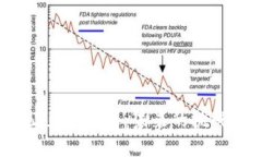 ICO禁止加密货币：未来的挑战与机遇