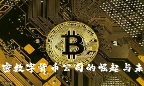 AMC加密数字货币公司的崛起与未来展望