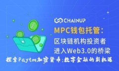 探索Paytm加密货币：数字金融的新机遇