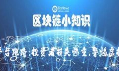 加密货币平台跑路：投资者损失惨重，警惕虚拟