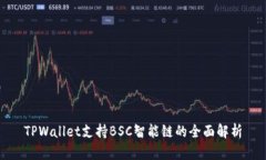 TPWallet支持BSC智能链的全面解析