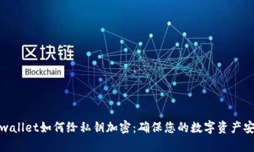 tpwallet如何给私钥加密：确保您的数字资产安全
