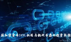 泰国加密货币ICO：机遇与挑战并存的投资新领域