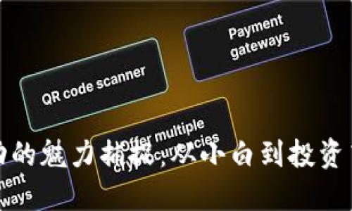 被加密货币波动的魅力捕捉：从小白到投资高手的蜕变之旅