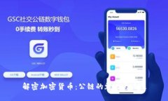 解密加密货币：公链的魅力与未来