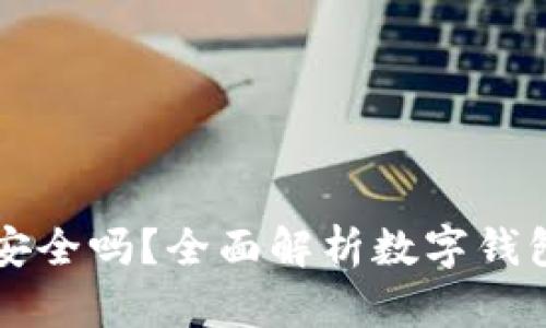 TPWallet安全吗？全面解析数字钱包的安全性
