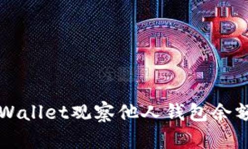 如何通过TPWallet观察他人钱包余额及交易记录