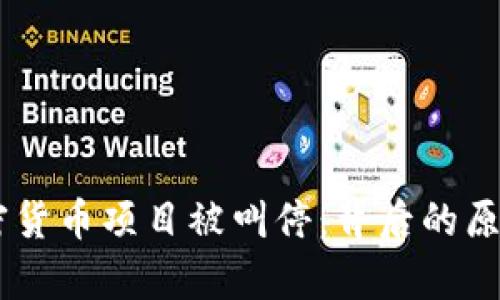 Facebook加密货币项目被叫停：背后的原因与影响分析