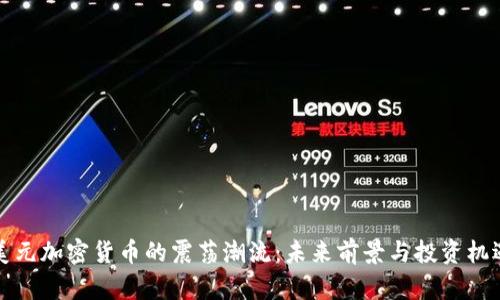 美元加密货币的震荡潮流：未来前景与投资机遇