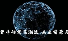 美元加密货币的震荡潮流：未来前景与投资机遇