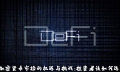美加密货币市场的机遇与挑战：投资者该如何选