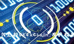 TPWallet如何支持OKExChain：用户指南及最佳实践