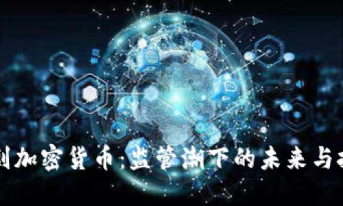 围剿加密货币：监管潮下的未来与挑战