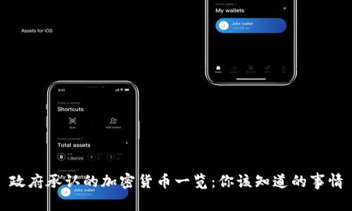 政府承认的加密货币一览：你该知道的事情