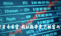 中国加密货币首富：揭秘数字资产财富的巅峰旅