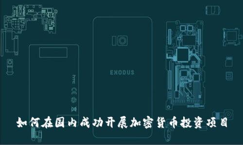 如何在国内成功开展加密货币投资项目