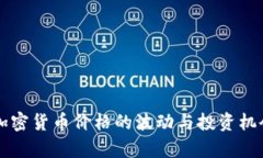 美元加密货币价格的波动与投资机会分析