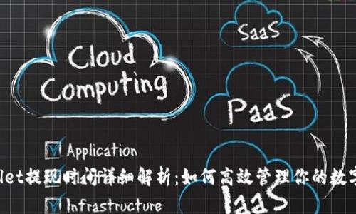 TPWallet提现时间详细解析：如何高效管理你的数字资产!