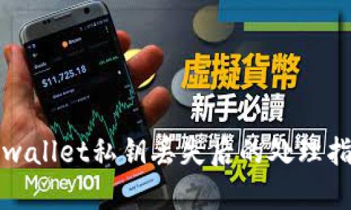 tpwallet私钥丢失后的处理指南