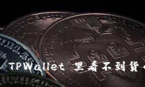 为什么 TPWallet 里看不到货币价格？