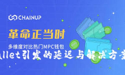 TPWallet引发的延迟与解决方案解析