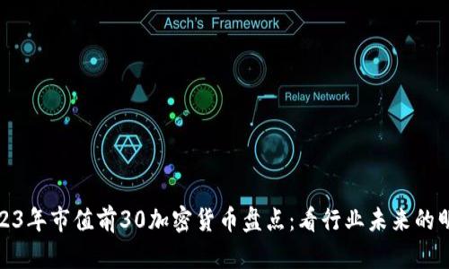 2023年市值前30加密货币盘点：看行业未来的明灯