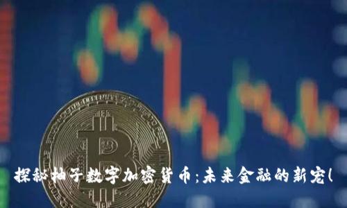 探秘柚子数字加密货币：未来金融的新宠！